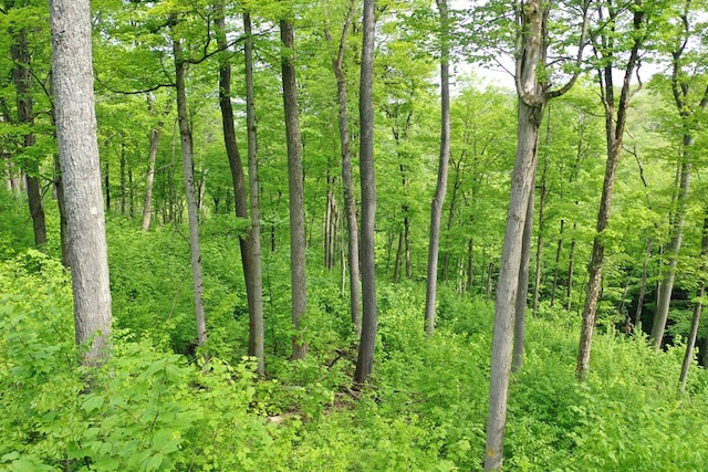 000 Old Township Rd, Coudersport, PA 16915 - photo 6