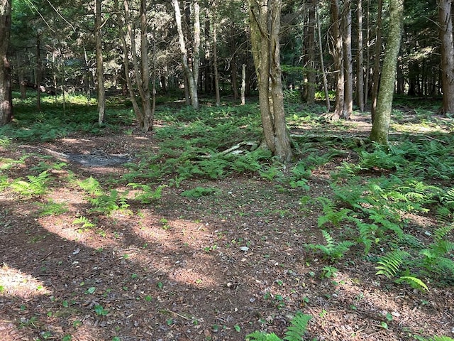 656 N Hollow Rd, Coudersport, PA 16915 - photo 24