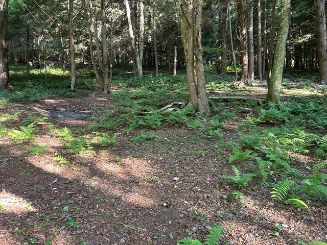 656 N Hollow Rd, Coudersport, PA 16915 - photo 23