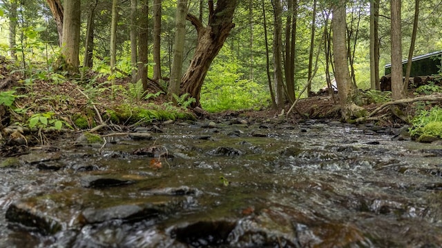 511 Steam Mill Rd, Wellsboro, PA 16901 - view of tree filled area
