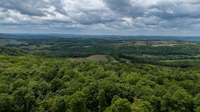 511 Steam Mill Rd, Wellsboro, PA 16901 - drone / aerial view of a forest
