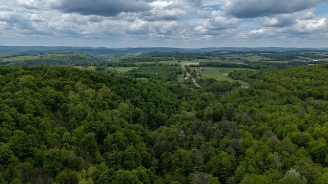 511 Steam Mill Rd, Wellsboro, PA 16901 - drone / aerial view of a forest and mountains