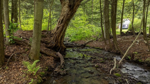 511 Steam Mill Rd, Wellsboro, PA 16901 - view of wooded area