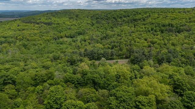 511 Steam Mill Rd, Wellsboro, PA 16901 - bird's eye view of a heavily wooded area