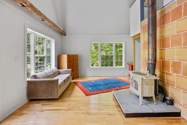 511 Steam Mill Rd, Wellsboro, PA 16901 - living area with a wood stove, light wood-type flooring, high vaulted ceiling, and baseboards