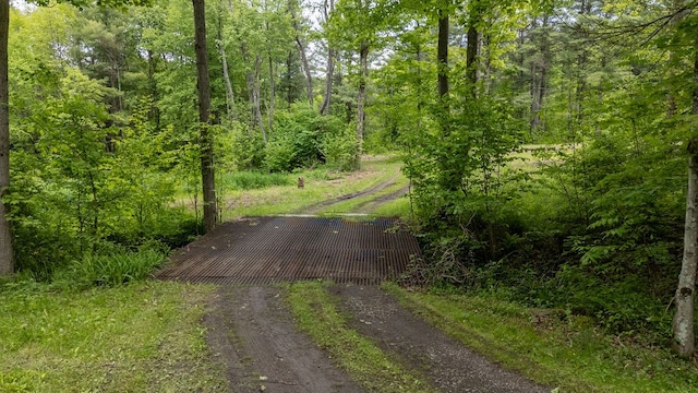 511 Steam Mill Rd, Wellsboro, PA 16901 - view of dirt / gravel road with a wooded view