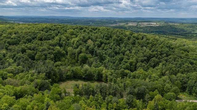 511 Steam Mill Rd, Wellsboro, PA 16901 - drone / aerial view of a forest