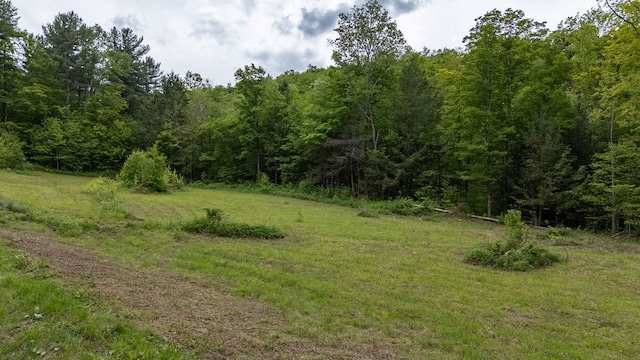 511 Steam Mill Rd, Wellsboro, PA 16901 - view of wooded area