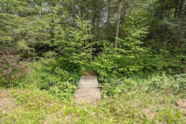 511 Steam Mill Rd, Wellsboro, PA 16901 - view of wooded area