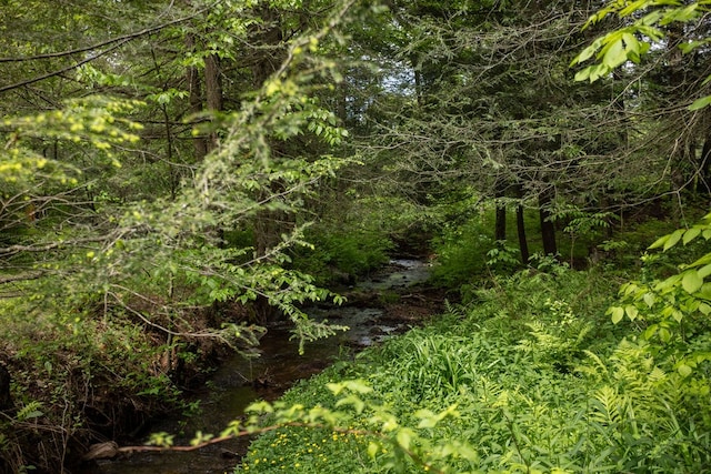 511 Steam Mill Rd, Wellsboro, PA 16901 - view of undeveloped land