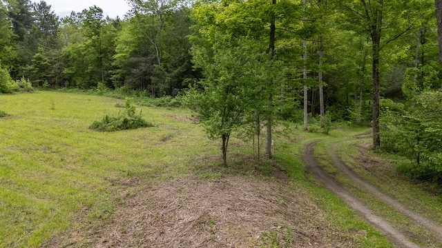 511 Steam Mill Rd, Wellsboro, PA 16901 - view of woods
