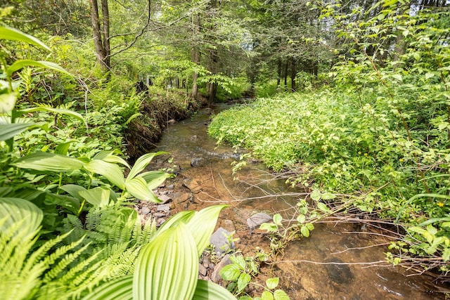 511 Steam Mill Rd, Wellsboro, PA 16901 - view of local wilderness