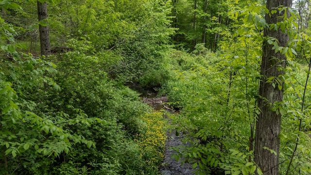 511 Steam Mill Rd, Wellsboro, PA 16901 - view of woods
