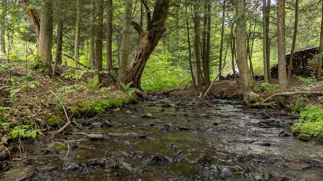 511 Steam Mill Rd, Wellsboro, PA 16901 - view of undeveloped land
