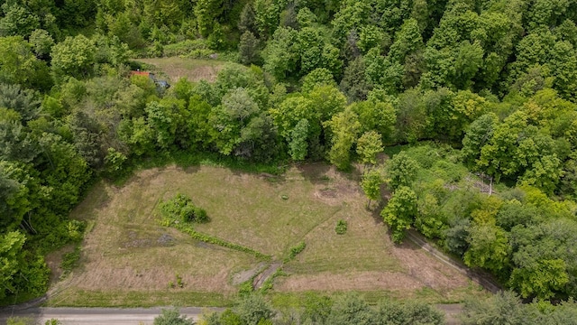 511 Steam Mill Rd, Wellsboro, PA 16901 - aerial view of property's location