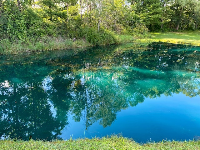 view of nature featuring a water view