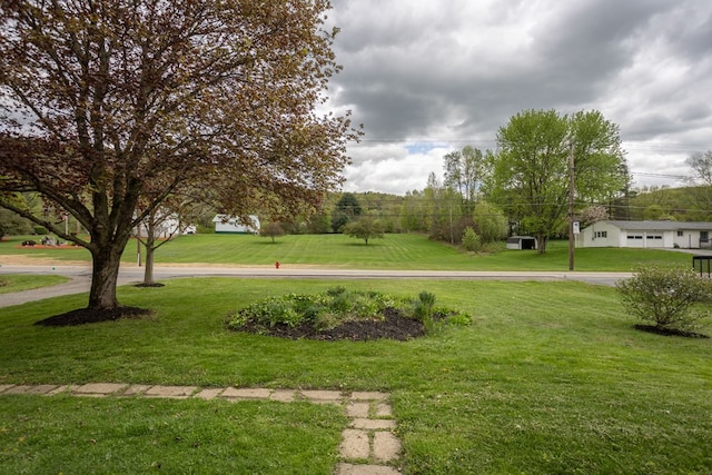 238 S Williamson Rd, Blossburg, PA 16912 - photo 75