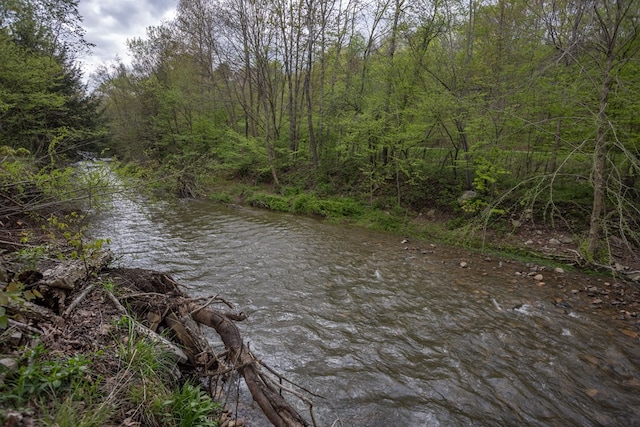 238 S Williamson Rd, Blossburg, PA 16912 - photo 80