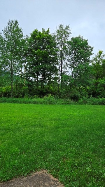 27 Watson Farm Rd, Austin, PA 16720 - photo 54