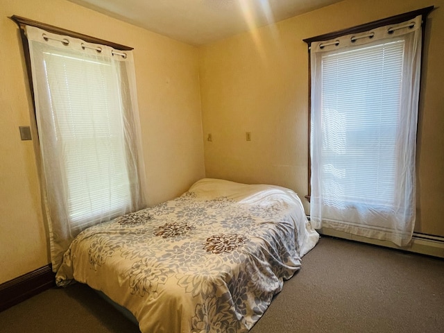 carpeted bedroom with multiple windows