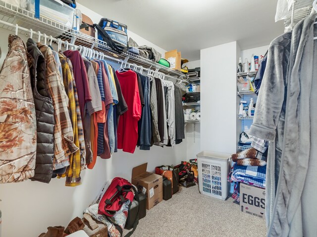 102 Fred Catlin Rd, Owego, NY 13827 - walk in closet with carpet flooring
