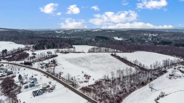 102 Fred Catlin Rd, Owego, NY 13827 - view of snowy aerial view