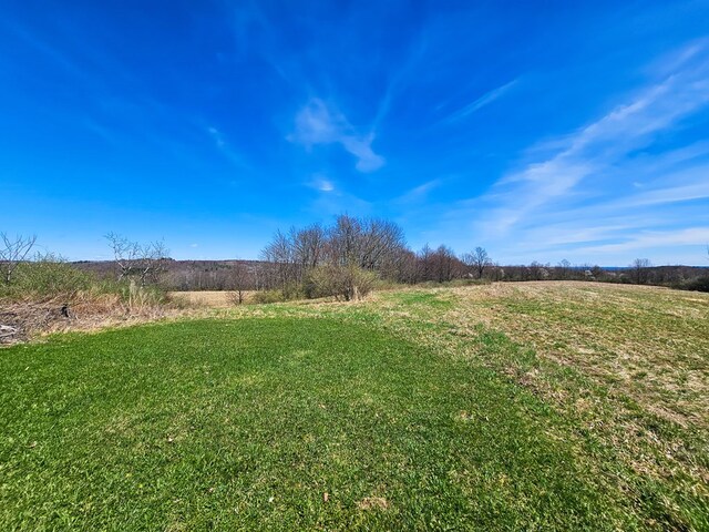 102 Fred Catlin Rd, Owego, NY 13827 - view of yard with a rural view