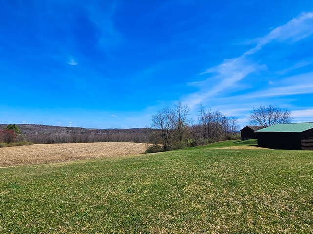102 Fred Catlin Rd, Owego, NY 13827 - view of yard featuring an outdoor structure