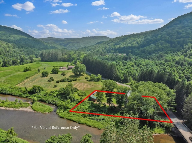 3060 Colton Rd, Wellsboro, PA 16901 - photo 2