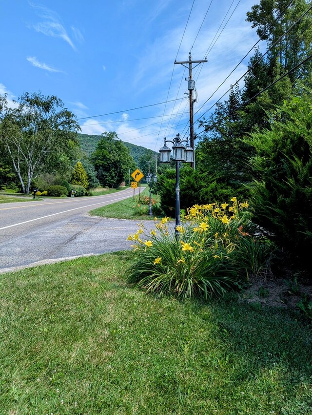 view of road