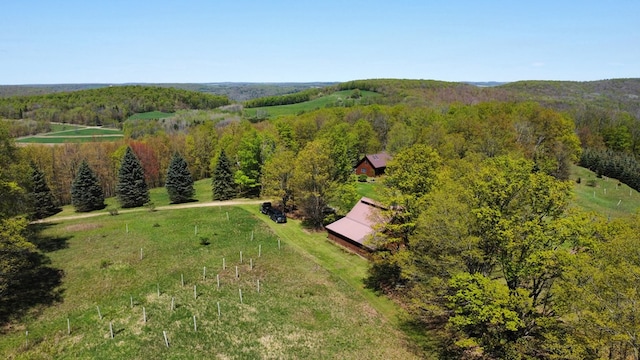 view from above of property with a forest