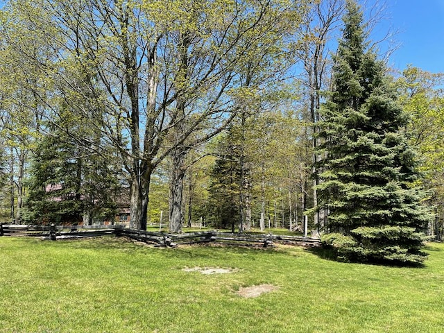 view of green lawn