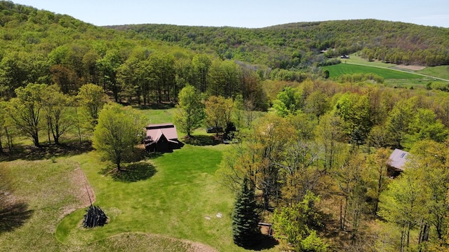 view of subject property with a forest