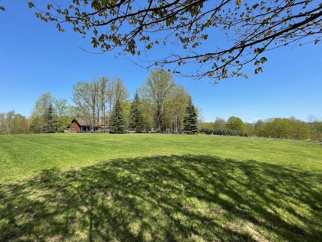 view of green lawn
