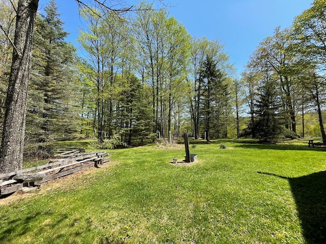 view of green lawn
