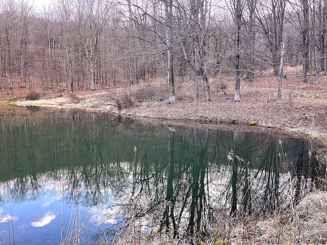 water view with a heavily wooded area