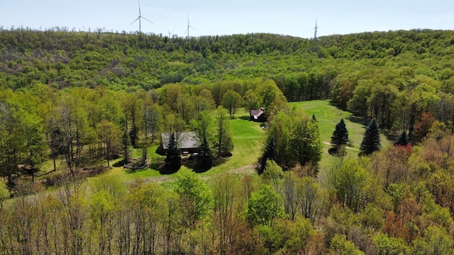 drone / aerial view of a forest