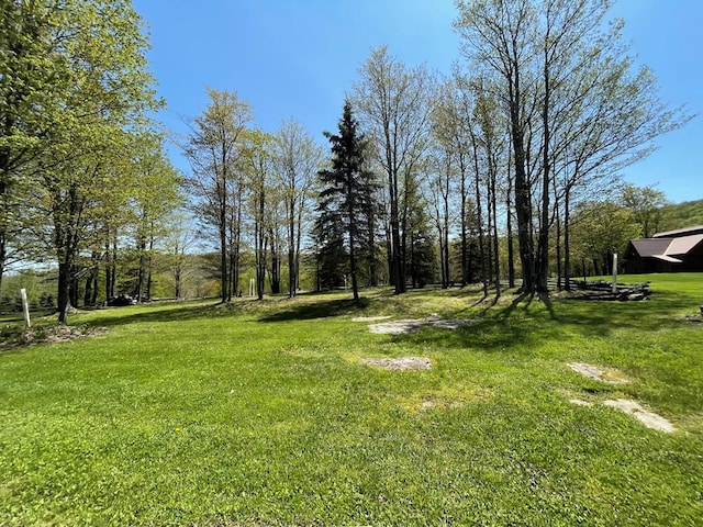 view of grassy yard