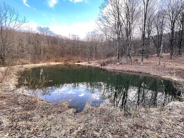 water view featuring a forest