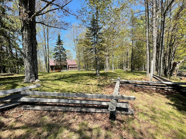 surrounding community featuring a yard