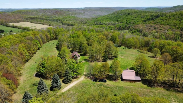 drone / aerial view of a heavily wooded area