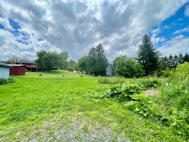 307 Church St, Westfield, PA 16950 - photo 4