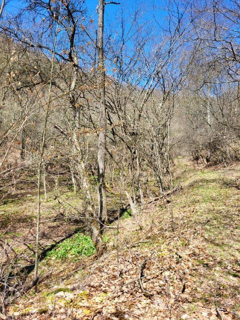 00 Prouty Rd, Austin PA, 16720 land for sale