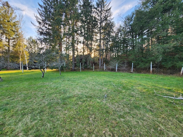 1358 S Brookland Rd, Ulysses, PA 16948 - view of green lawn