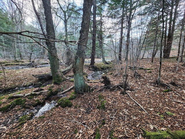 1358 S Brookland Rd, Ulysses, PA 16948 - view of nature