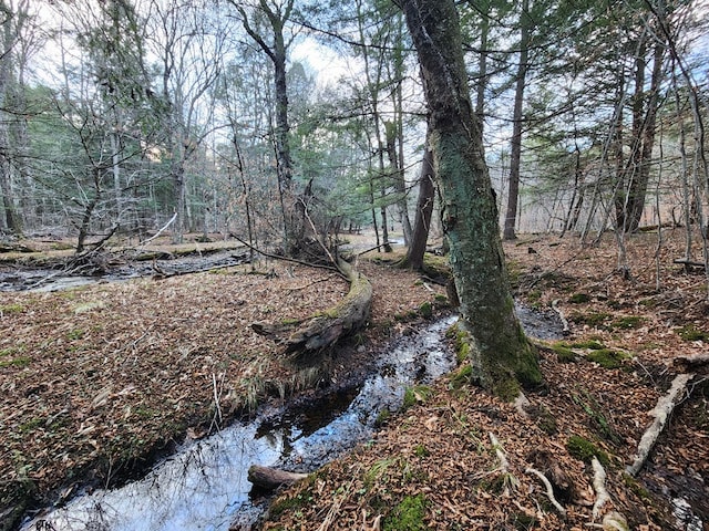 view of landscape