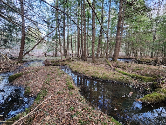 1358 S Brookland Rd, Ulysses, PA 16948 - water view