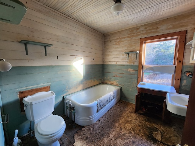 1358 S Brookland Rd, Ulysses, PA 16948 - full bathroom featuring a garden tub and wood walls