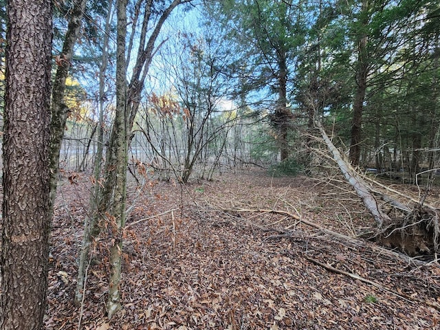 1358 S Brookland Rd, Ulysses, PA 16948 - view of local wilderness