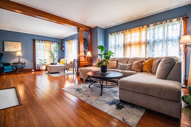 818 W Water St, Elmira, NY 14905 - living room with wood finished floors and crown molding